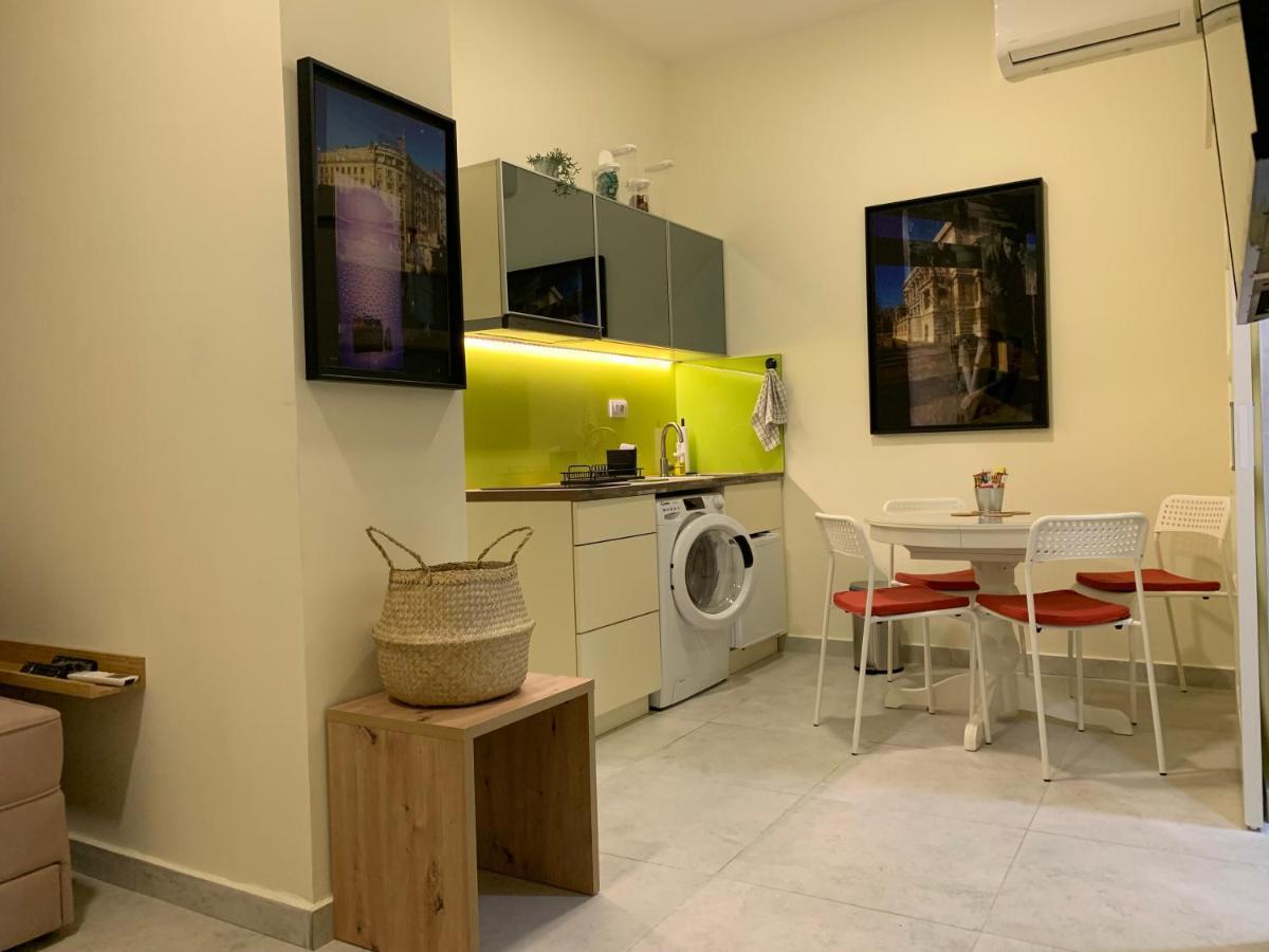 Sunlit Artist Studio Apartment Belgrade Exterior photo