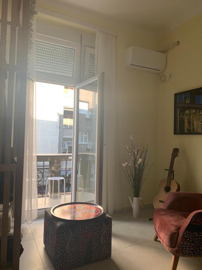 Sunlit Artist Studio Apartment Belgrade Exterior photo